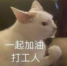 1655284761894009100.jpeg 开云体育下载-2002年起第5次晋级世界杯 看看哥斯达黎加的街头